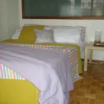 Apartamento Catedral